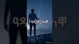 tigrignamusic ዓዲ ተረሓቀ  best old tigrigna music 2024 tigrignamusic [upl. by Scrivenor]