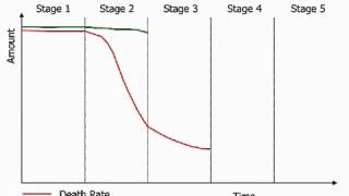 Demographic Transition Model Video 1 [upl. by Bodnar]