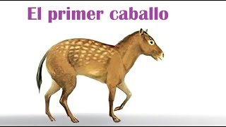 Eohippus  El primer caballo de la historia [upl. by Othelia518]