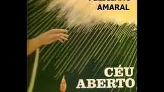 Feliciano Amaral Céu Aberto cd completo [upl. by Minica]