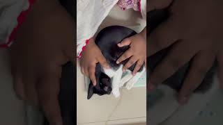 Mini ojon pami 😂 youtubeshorts bdtravel automobile funny vlog dhakabd catlover [upl. by Kilmarx]