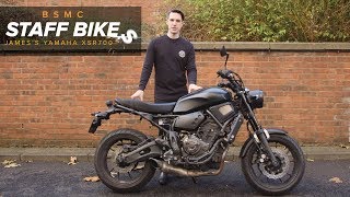 Staff Bikes James Yamaha XSR700 [upl. by Noivaz158]