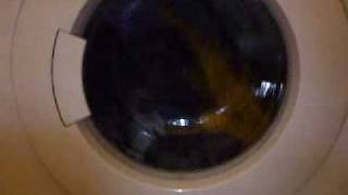 Gorenje WA583 wool wash part 2 [upl. by Greenquist]