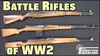 Battle Rifles of World War Two Overview [upl. by Domash774]