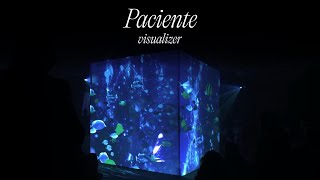 Juliana  Paciente Visualizer [upl. by Dray979]