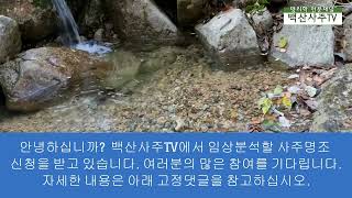 임상분석 사주명조 지원자를 기다립니다 백산사주TV [upl. by Schramke328]