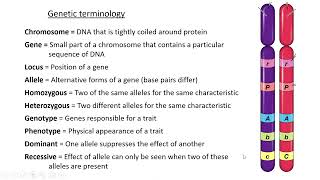 Animal genetics Lesson 1 [upl. by Claudy]