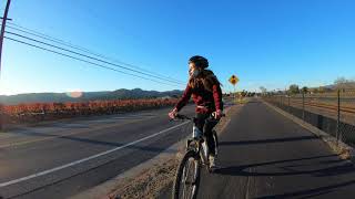 Bike the Napa Vine Trail to Yountville [upl. by Caplan]