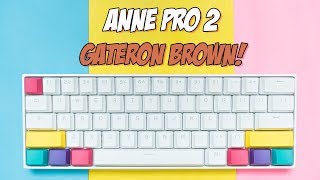 Anne Pro 2 Gateron Brown Review  Best 60 Mechanical Keyboard [upl. by Dewhirst]