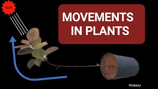 TROPIC and NASTIC MOVEMENTS IN PLANTS [upl. by Enale]