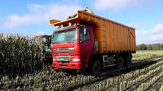 New Holland FR 650 2 Fendt Veenhuis Gespanne Ginaf LKW im Mais [upl. by Eilegna235]