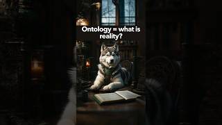 What is ontology researchmethods research shorts shortvideo learning philosophy [upl. by Nwahsak]