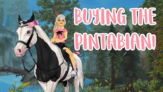 Buying the New Pintabian  Star Stable [upl. by Netta]