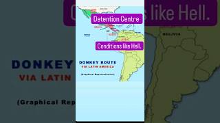 Donkey Illegal immigrants in US detention centers shorts donkeyroute shortsvideo [upl. by Attennaj]