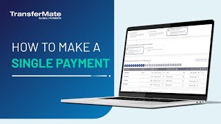 How to Make a Single Payment with TransferMate [upl. by Catlaina]