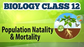 Population Natality and Mortality  Organisms and Environment 2  Biology Class 12 [upl. by Sucam]