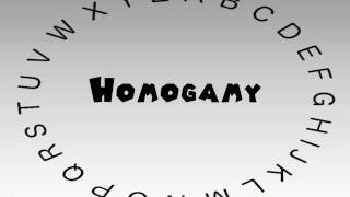 How to Say or Pronounce Homogamy [upl. by Florence361]