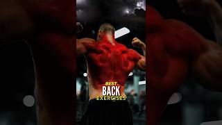 Best Back Exercises You’ve Never Seen [upl. by Sesylu]