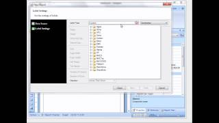 Creation Report with Label Wizard  Stimulsoft Reports  Shot on version 20121 [upl. by Florette]