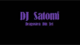 DJ Satomi  Dragostea Din Tei [upl. by Malvia]