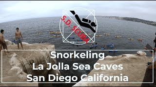 Snorkeling The La Jolla Sea Caves  San Diego  California [upl. by Neahs]