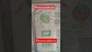 Photosynthesis experimentviralvideo short experimental biologyexperiment [upl. by Cooper]