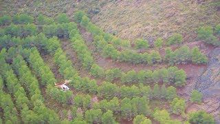 Reforestación aérea en Águilas [upl. by Hawken]