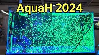 AquaH 2024 The UKs Largest Ever Coral Show It Was Epic [upl. by Noyk]