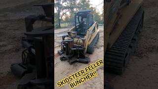 Homemade skid steer feller buncher tree shear [upl. by Laeira]