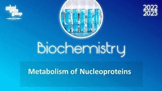 L4 Metabolism of nucleoprotein Biochemistry [upl. by Siuoleoj506]