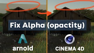 Opacity map alpha map  Arnold C4D Quick Tips [upl. by Gallager]