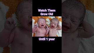 Cute Twin Newborn Babies timelapse until one Year [upl. by Butte934]