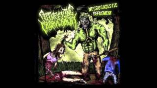 Putrefying Cadaverment  Necrosadistic Defilement Full Album 2008 HD [upl. by Gregrory868]