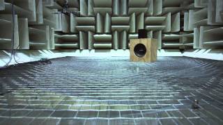 Ron Miles and the Anechoic Chamber [upl. by Elreath717]