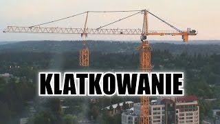 Klatkowanie Żurawia Wieżowego [upl. by Sension]