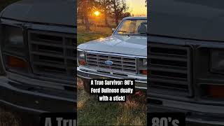 Incredible Survivor Classic Ford Bullnose Dually shorts [upl. by Brottman731]