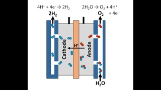 How My PEM Electrolyzer and H2 Generator Apparatus Work [upl. by Cerallua513]