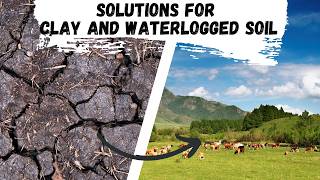 Solutions for Clay and Waterlogged soil [upl. by Assirac]