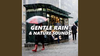 Sprinkling Natural Rain Sounds [upl. by Esinyl321]