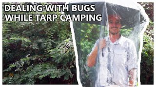 How To Tarp Camp With Bugs [upl. by Sargent424]