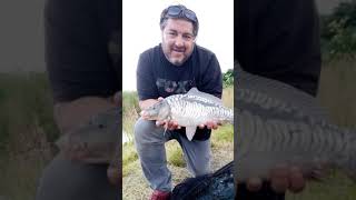 24 hours on Alder Lake at Coking Farm carp carpfishing cokingfarm fun shorts [upl. by Singband]