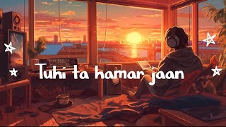 official song tuhi ta hamar jaan lofi song me trending song SDCmusic🥰🥰 [upl. by Odericus]