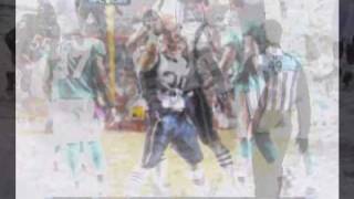 Danny Woodhead  20102011 Season  Official Highlights [upl. by Alain345]