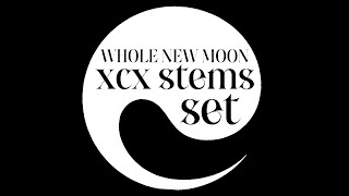 xcx stems set  WHOLE NEW MOON SOPHIE event [upl. by Einttirb]