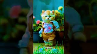 Cat crezy dance Al videos dance shorts cat viralvideo cats shortvideo [upl. by Initsed792]