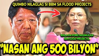 KAKAPASOK LANG 500 BILYON NAGLAHO PARANG BULA PARA SA FLOOD CONTROL PROJECTS [upl. by Artemisa699]