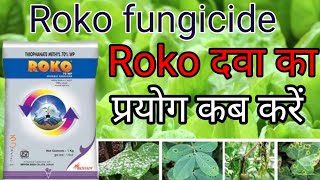 roko fungicide  thiophanate methyl 70 wp fungicide [upl. by Joappa]