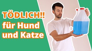 Vergiftung mit Frostschutzmittel  TÖDLICH für Hund und Katze [upl. by Yelrebmik]