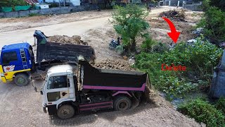 Work hard Fast action fill land use soil delete field grass unload by dump truck [upl. by Hsevahb811]