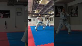 OHAN DAI HALF KATA PERFORMANCE  SPAIN TRAINING CAMP [upl. by Ahsoyem]